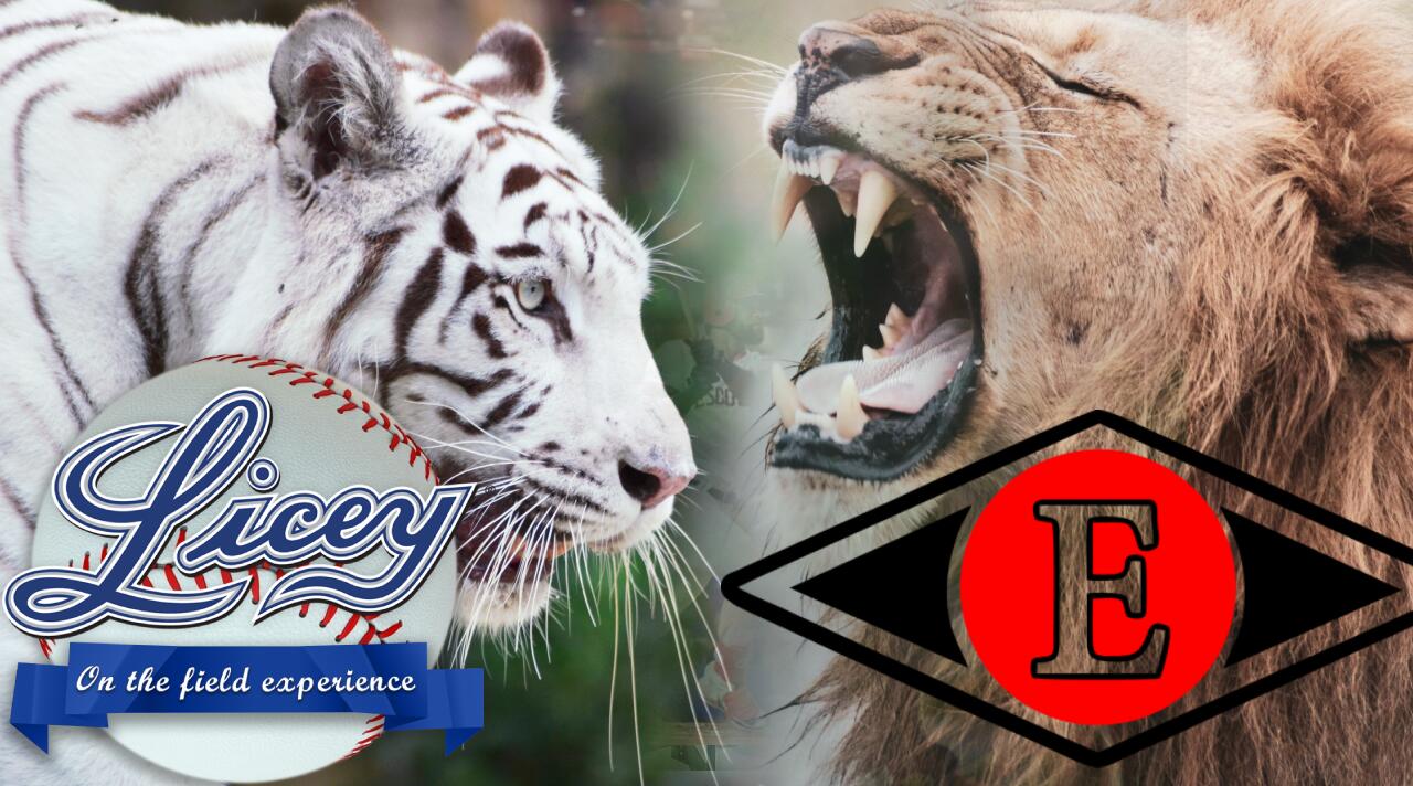 Finaliza el encuentro entre Leones del Escogido y Tigres del Licey
